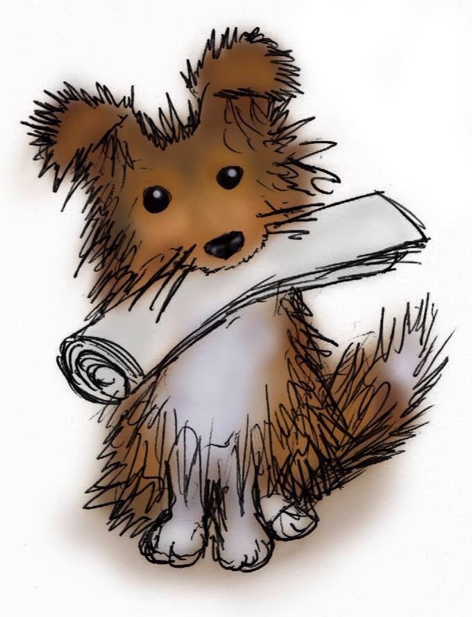 680x889 Shetland Sheepdog No. 1