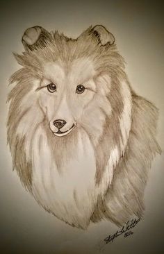 236x366 Tanaka Art] Baby Sheltie March 2017 What Should I Draw Next Let