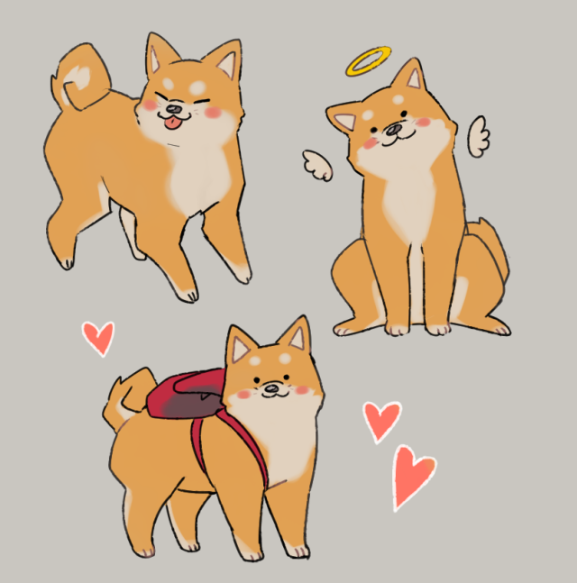 640x647 Wallpaper Shiba, Draw And Kawaii