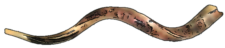 731x158 River Of Peace Ministries