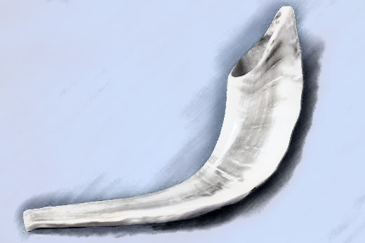 520x347 Story About A Horn