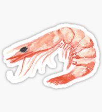 210x230 Shrimp Drawing Stickers Redbubble