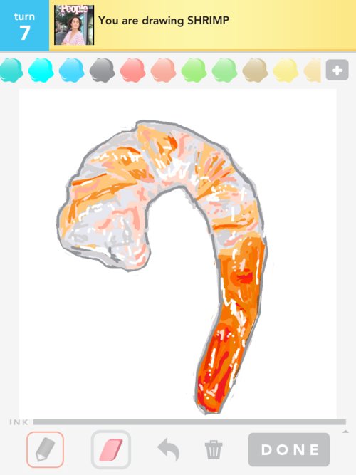 500x667 Shrimp Drawings