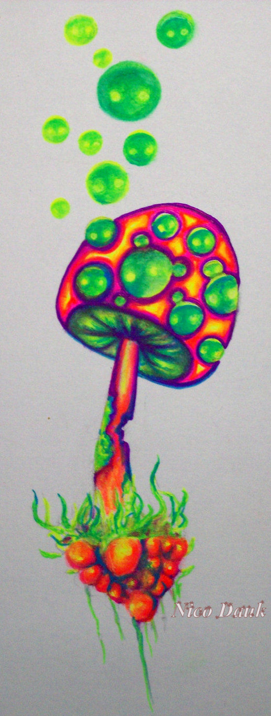 550x1450 Mushroom!! By Nicostars Cognitive Glance