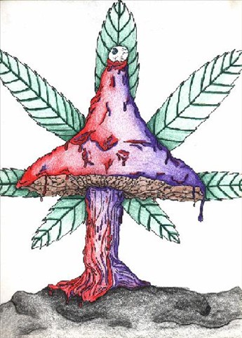 345x480 Tripped Out Shroom Michael Killion Foundmyself