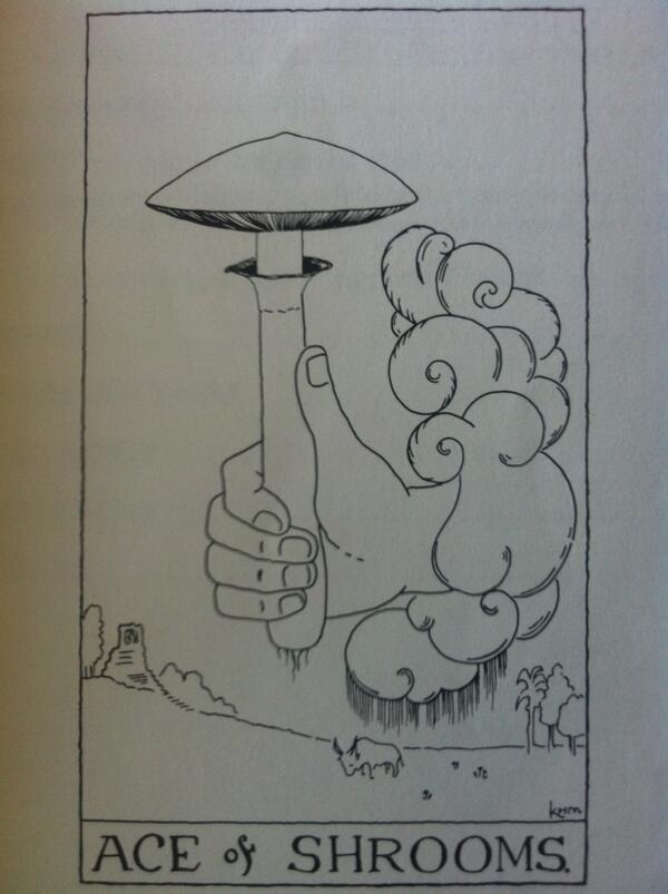 600x803 Magic Mushrooms Shop On Twitter Kathleen Harrison Mckenna Made