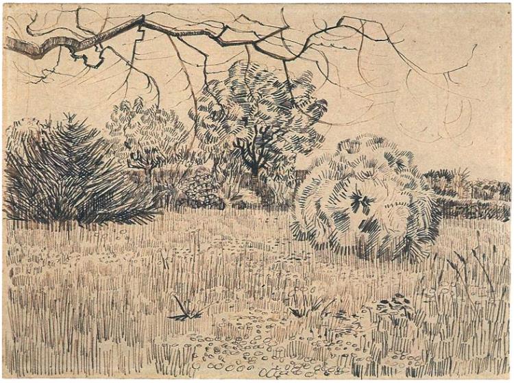 750x559 Field Of Grass With A Round Clipped Shrub By Vincent Van Gogh