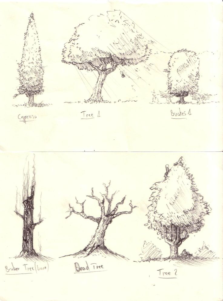 736x992 How To Draw Realistic Plants Bushes And Rocks