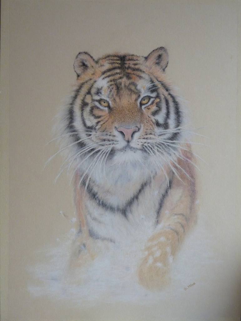 770x1027 Saatchi Art Siberian Tiger Drawing By Diana Milne