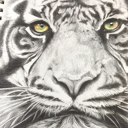 500x500 Clarsonstudio87 Shop Pencil Drawings And Commissioned Art