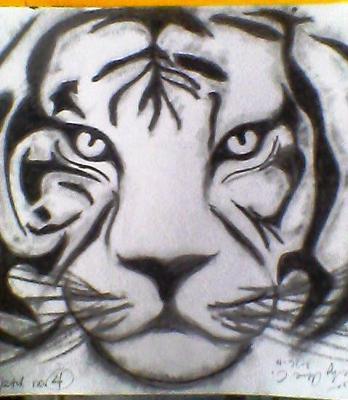 348x400 White Siberian Tiger Drawing 21712868.jpg Cool