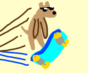 300x250 Dog Doing Sick Skateboard Tricks