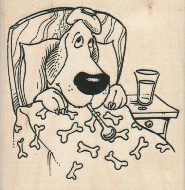 380x390 Sick Dog In Bed 3 14 X 3 14