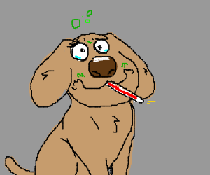 300x250 Dog Drawing Take It To The Vet Game!