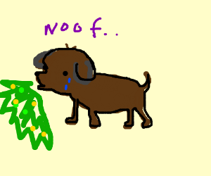 300x250 Sick Dog (Drawing By Thatdarnkayt)