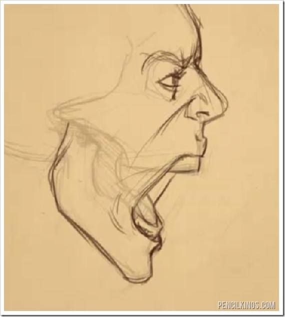 570x633 Photos Right Side Face Drawing,