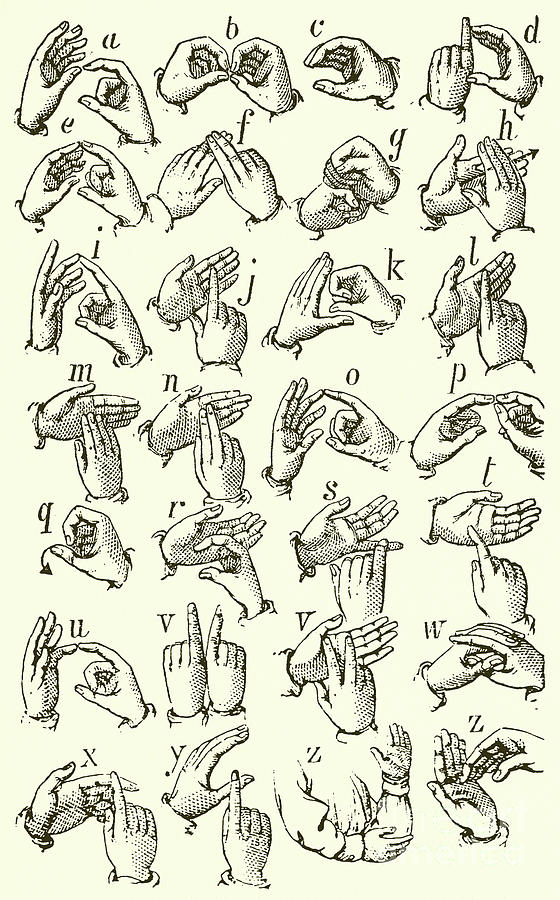 560x900 Sign Language Alphabet Drawing By English School
