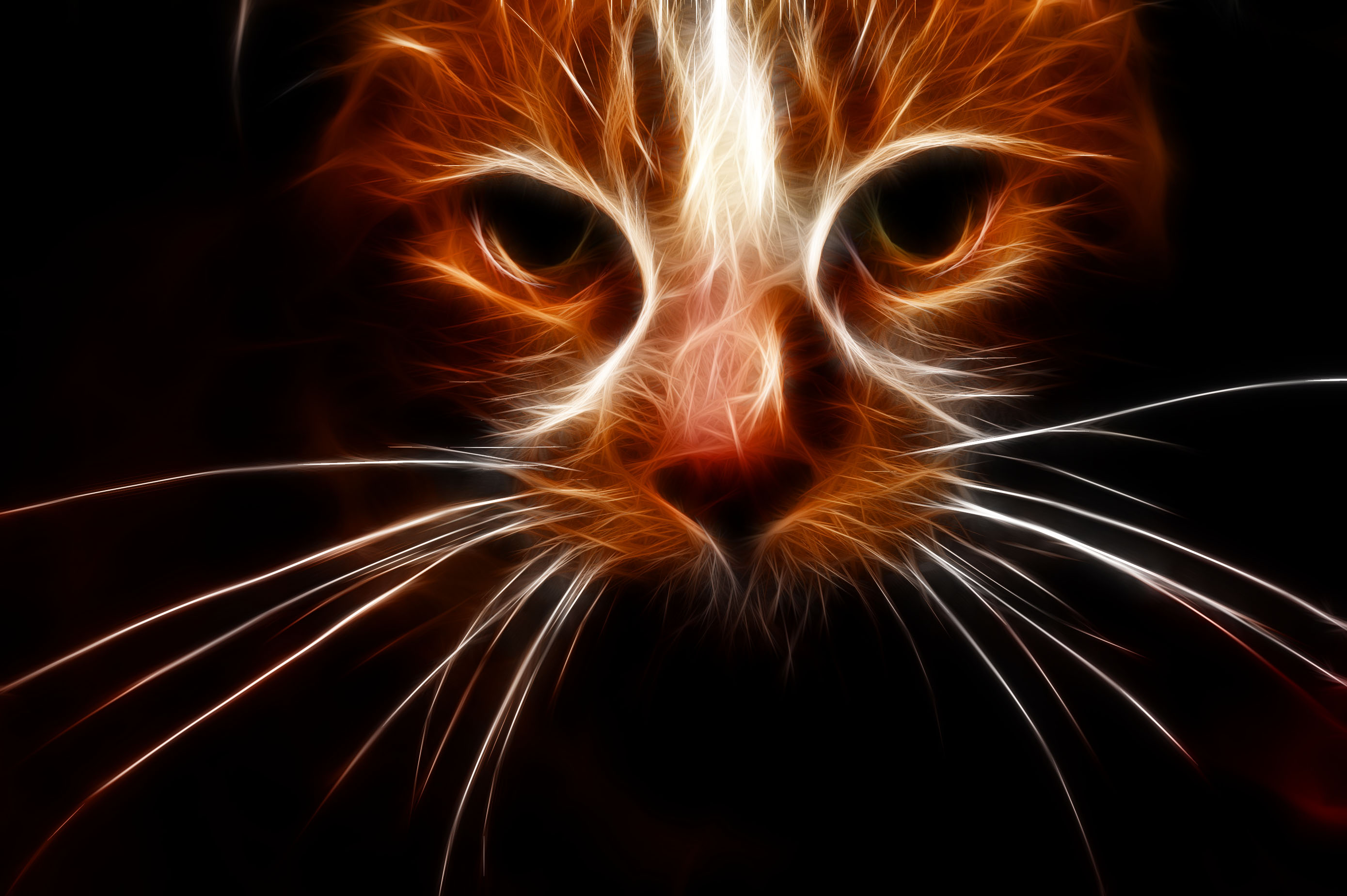 2779x1850 This Is Silk, An Interactive Generative Art Platform To Let Your