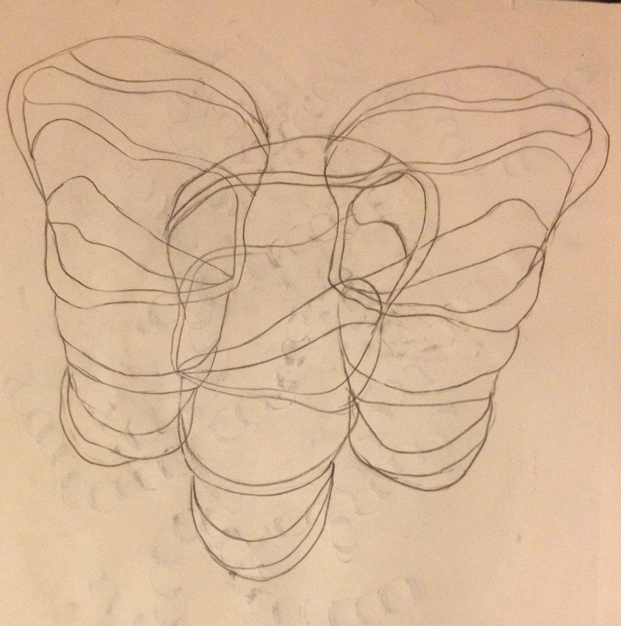 2070x2088 Silk Worm Cocoon Drawing 2
