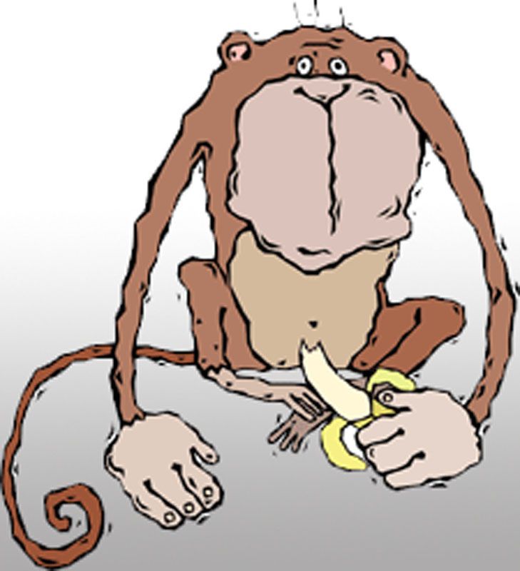 729x800 Silly Drawing Funny Drawings Download