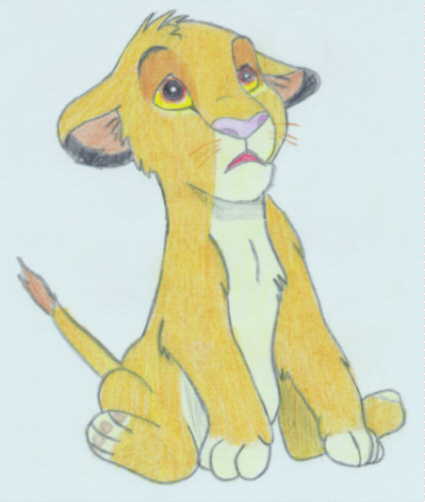 425x502 The Color Section!