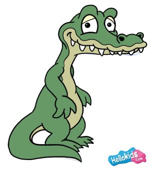 300x338 How To Draw How To Draw An Alligator