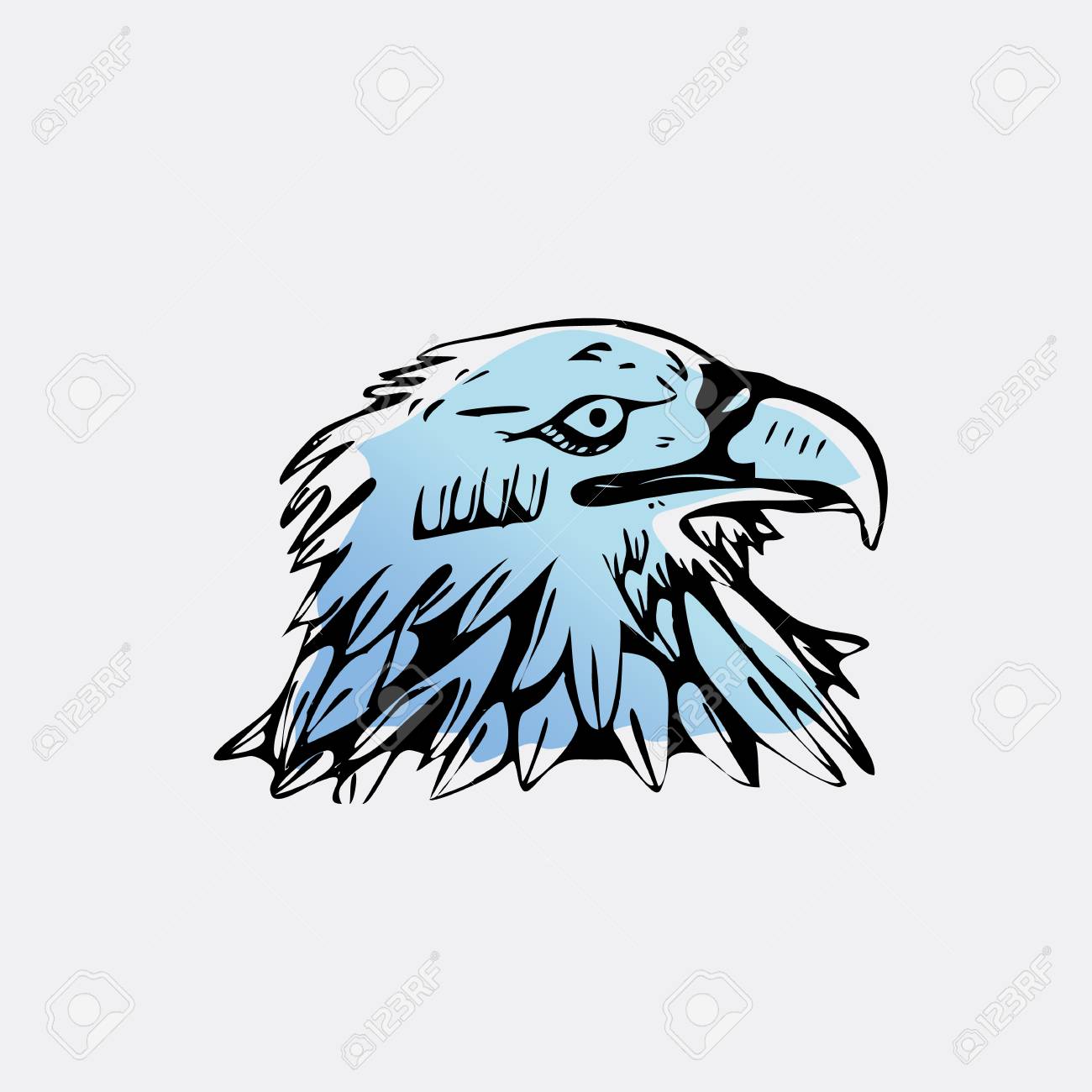 1300x1300 Hand Drawn Pencil Graphics, Bird, Eagle, Hawk, Kite, Vulture