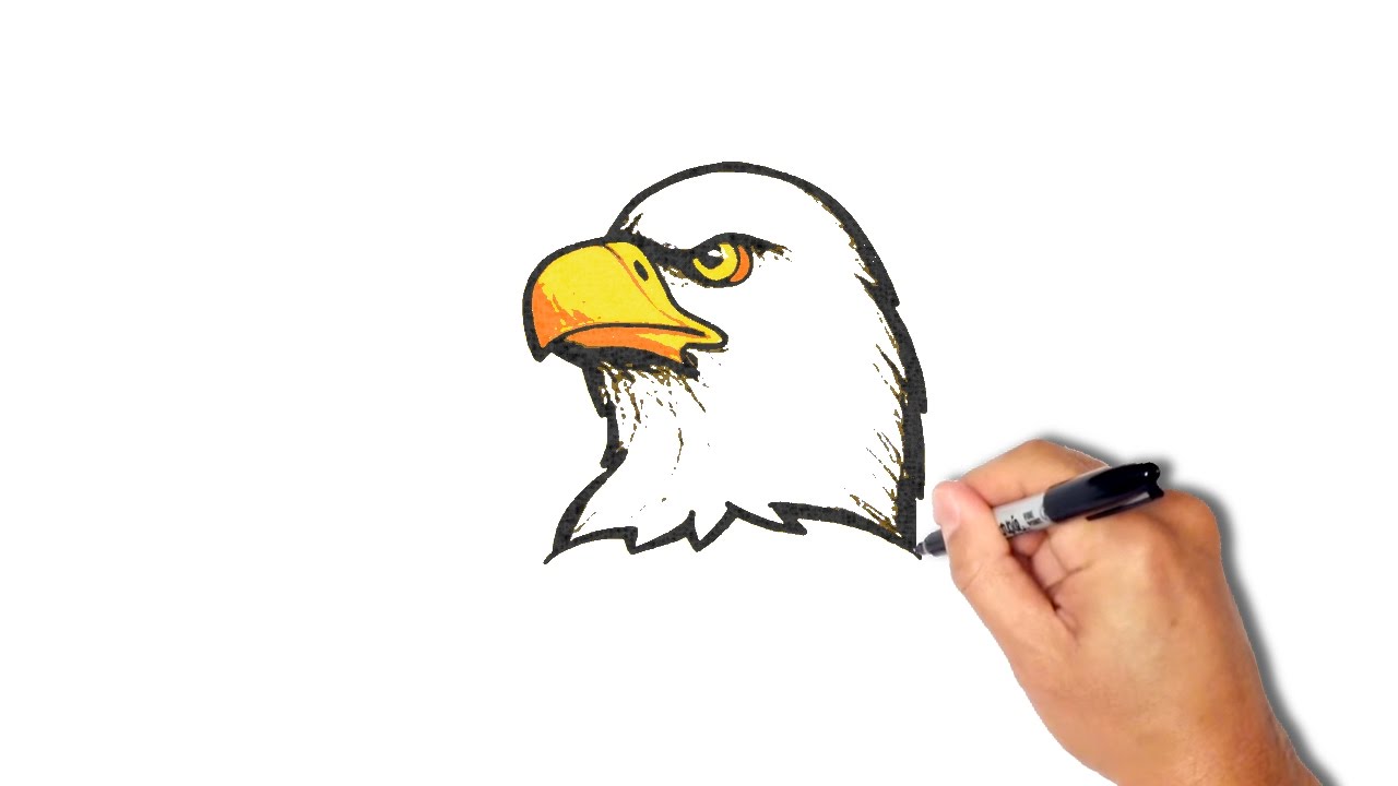 1280x720 How To Draw An Eagle Head