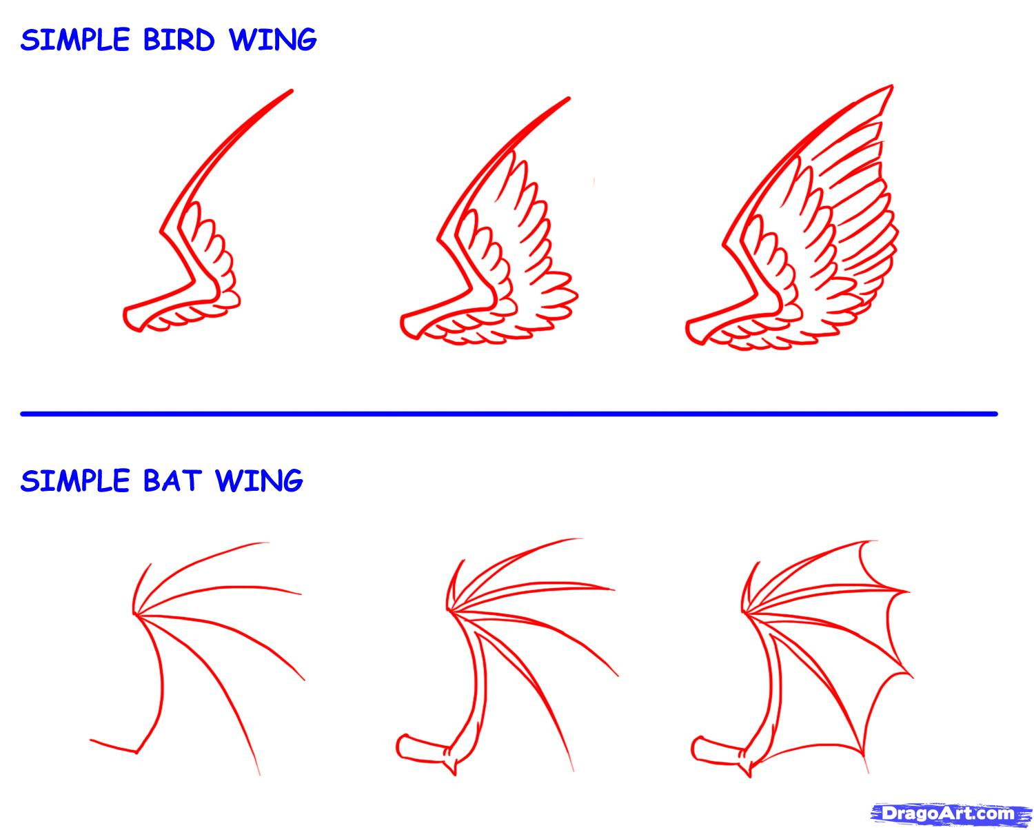 1500x1204 Simple Wings Drawing How To Draw Bat Or Vampire Wings, Stepstep