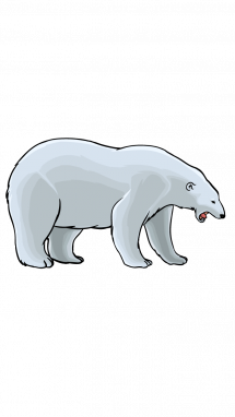 215x382 How To Draw Polar Bear, Animals , Easy Step By Step Drawing Tutorial