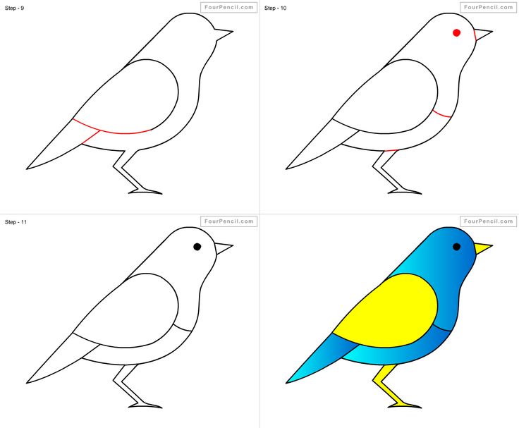 736x607 Drawing Of Birds For Kids 74 Best Draw Images On Draw
