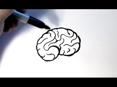 480x360 How To Draw A Brain