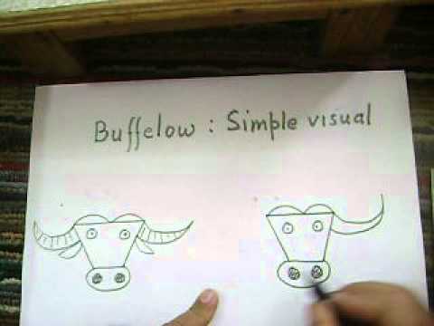 480x360 How To Draw A Simple Visual Of The Face Of A Buffalo By Lalit