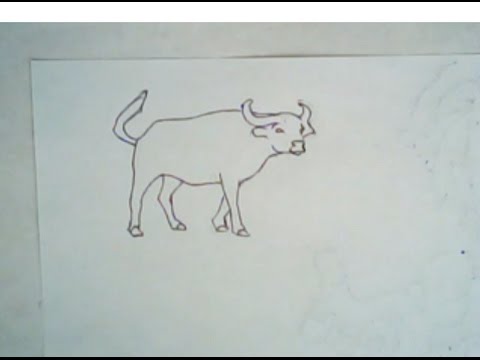 480x360 How To Draw An African Buffalo (Easy Drawing)