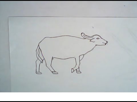 480x360 How To Draw An Asian Water Buffalo (Simple Drawing)