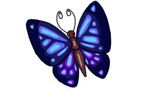 300x200 How To Draw A Simple Butterfly