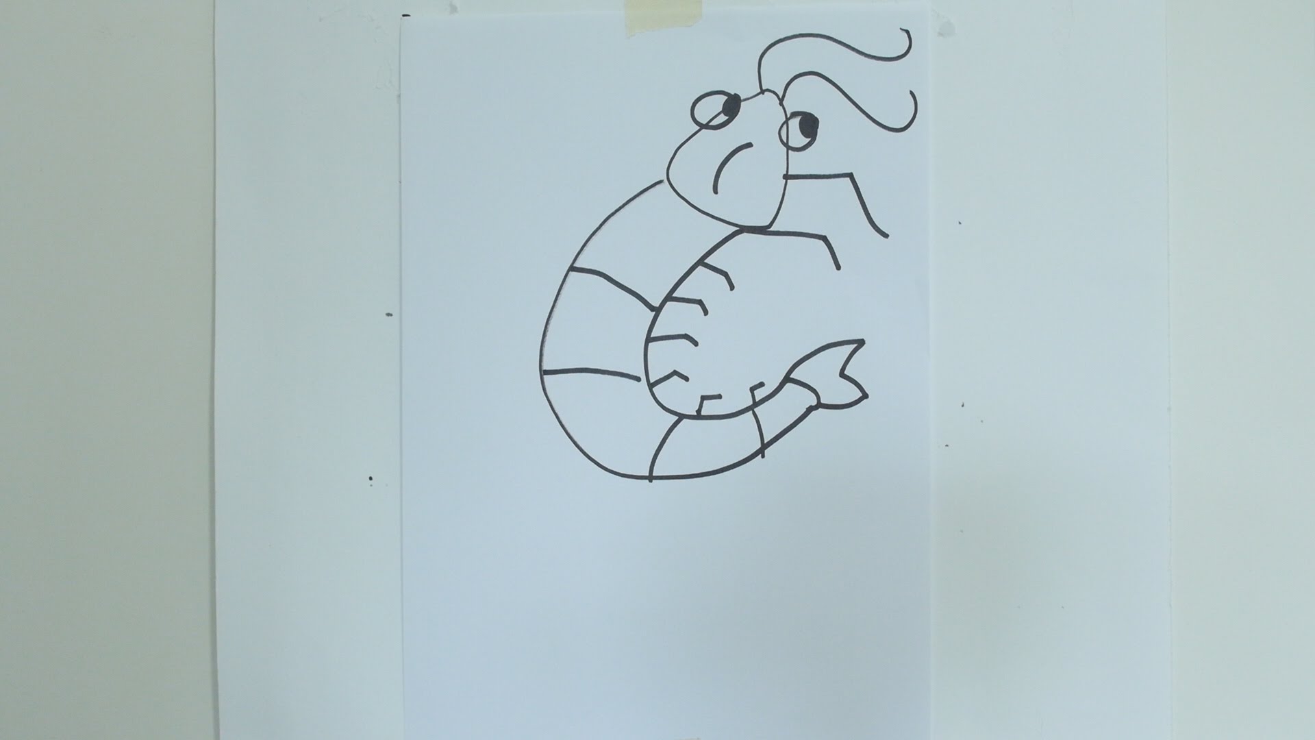 1920x1080 How To Draw Cartoon Prawn