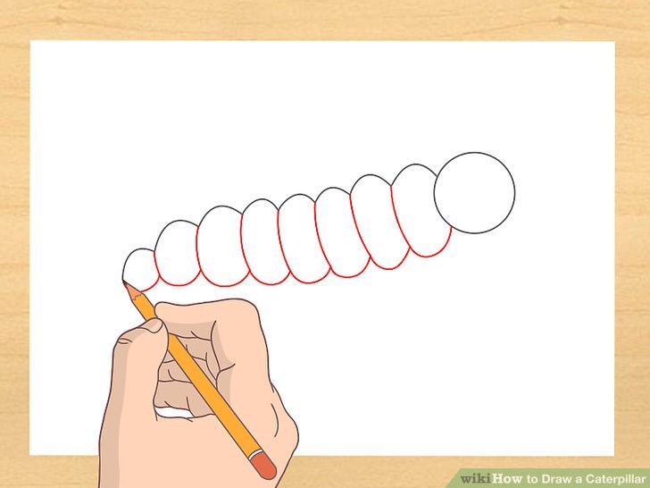 728x546 How To Draw A Caterpillar 7 Steps (With Pictures)