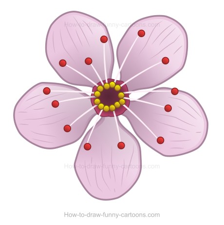 Simple Cherry Blossom Drawing at GetDrawings | Free download