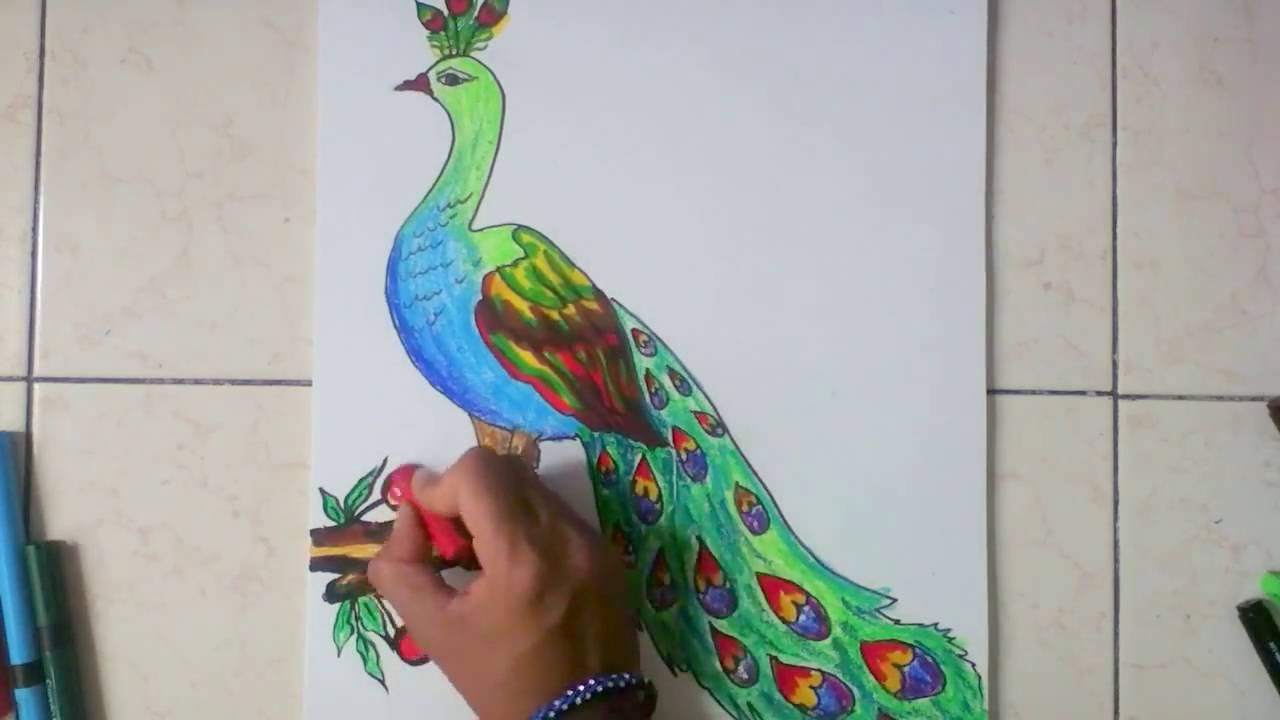 1280x720 How To Draw Peacock In Simple Steps