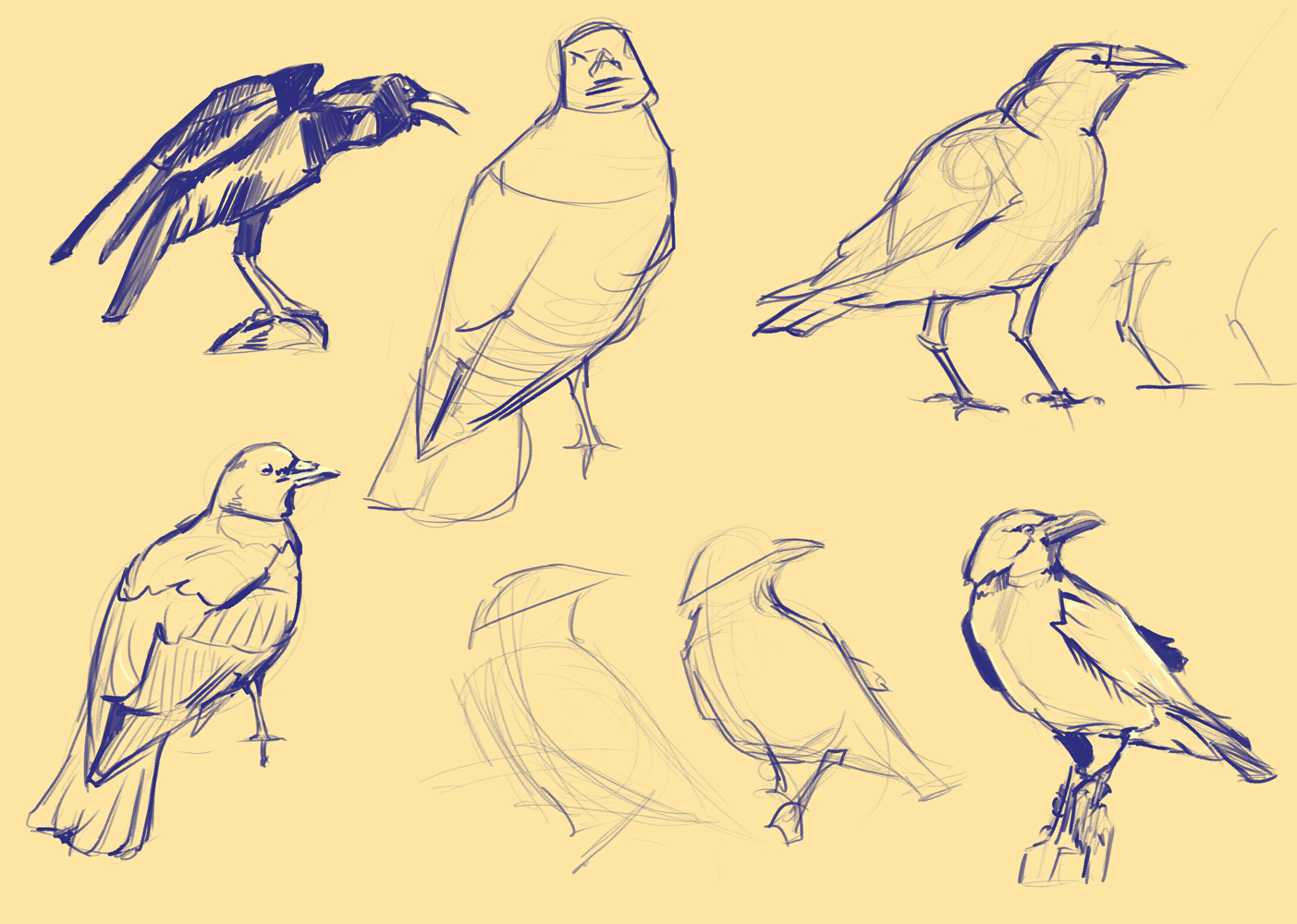 1403x1000 Simple Crow Drawing February 22nd