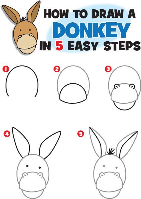 474x669 How To Draw A Donkey Kid Scoop Shrek The Musical 2018