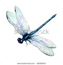 220x229 Image Result For Simple Dragonfly Drawing Artsy