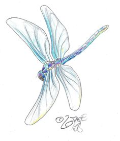 236x276 Dragonflies Urban Threads Unique And Awesome Embroidery Designs