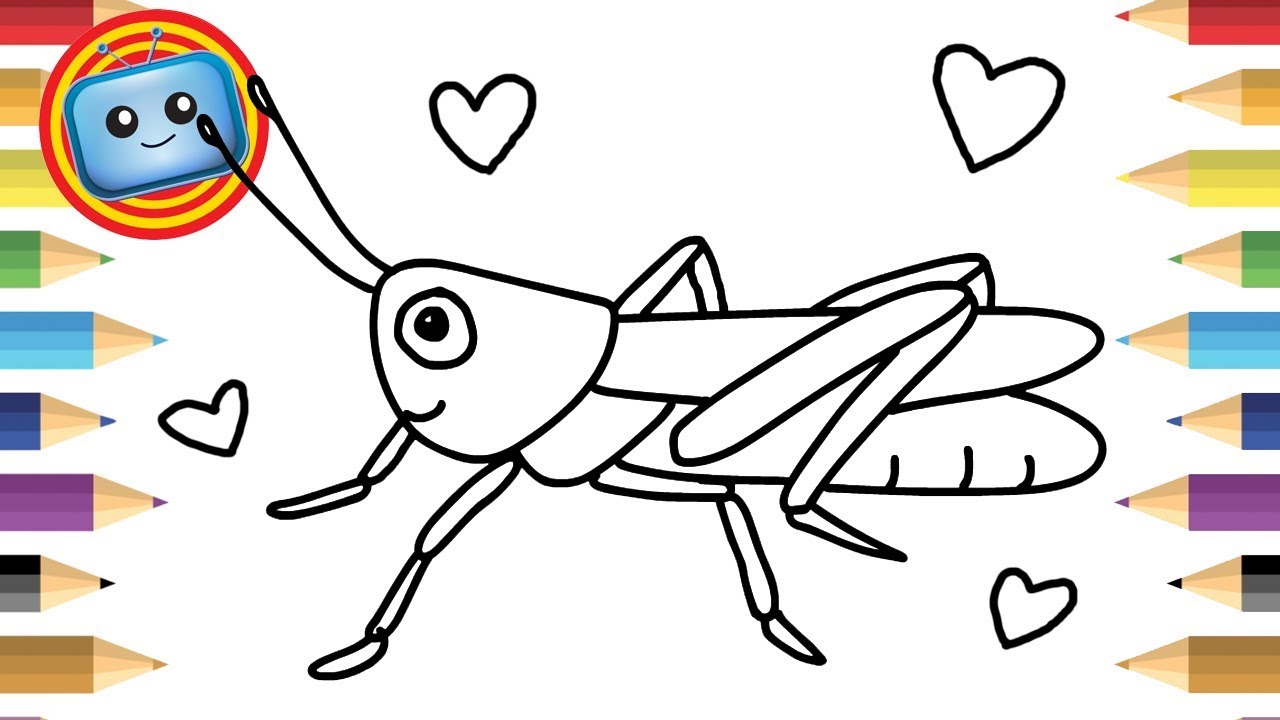 1280x720 How To Draw A Grasshopper Colouring Book Simple Drawing Game