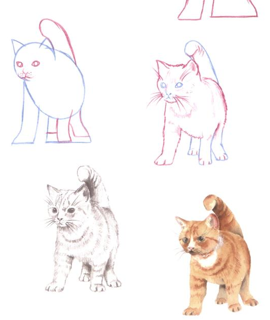 529x627 10 Tutorials On How To Draw A Cat Drawn In Black