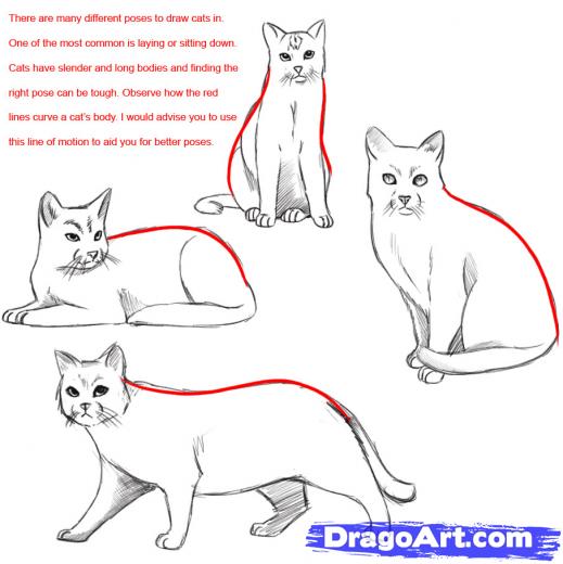 519x520 Image Result For Simple Drawings Of Cats In Typical Poses Cats
