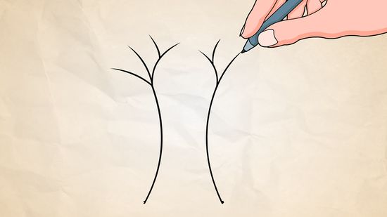 550x309 How To Draw A Simple Tree 11 Steps (With Pictures)