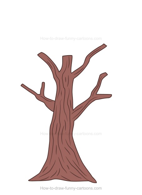 454x622 To Draw A Cartoon Tree