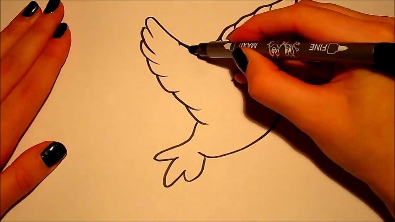 1280x720 How To Draw (For Beginners) A Bird (2) !